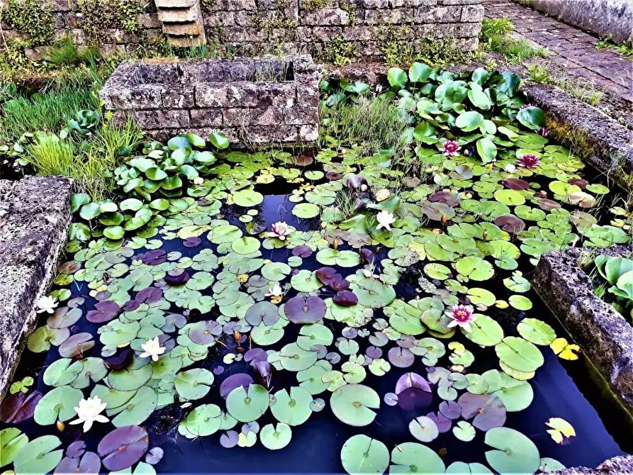 Immagine 11 di Villa in vendita  a Carrara
