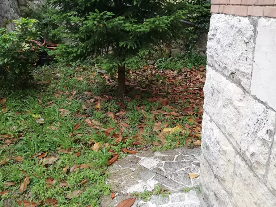 Immagine 25 di Appartamento in vendita  a Siena