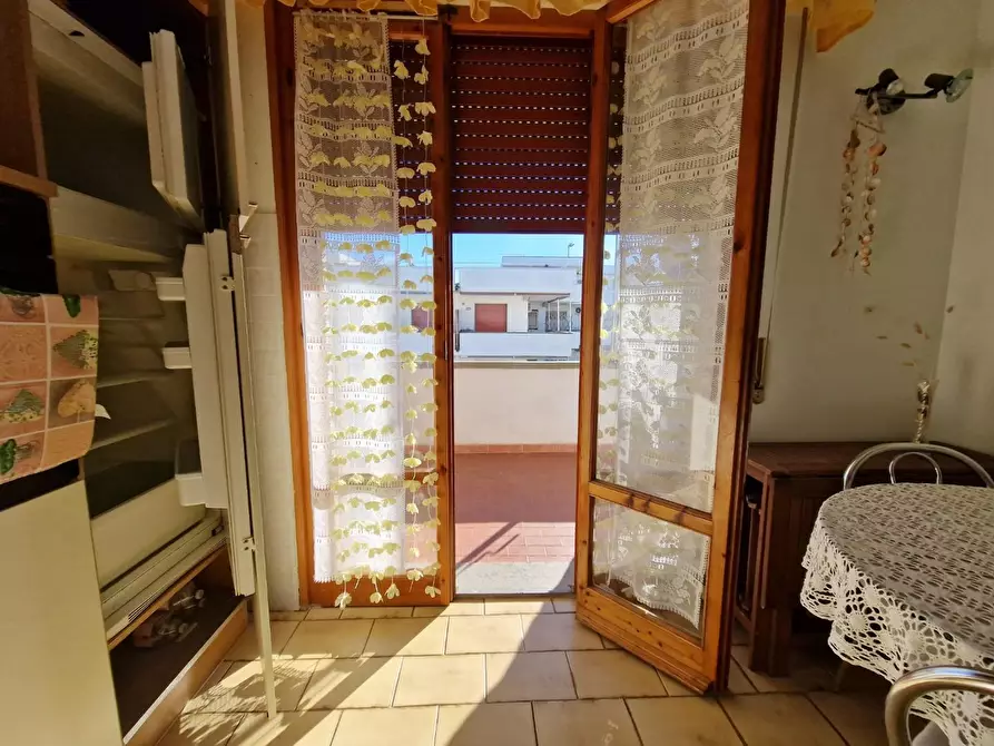 Immagine 6 di Appartamento in vendita  a Rosignano Marittimo