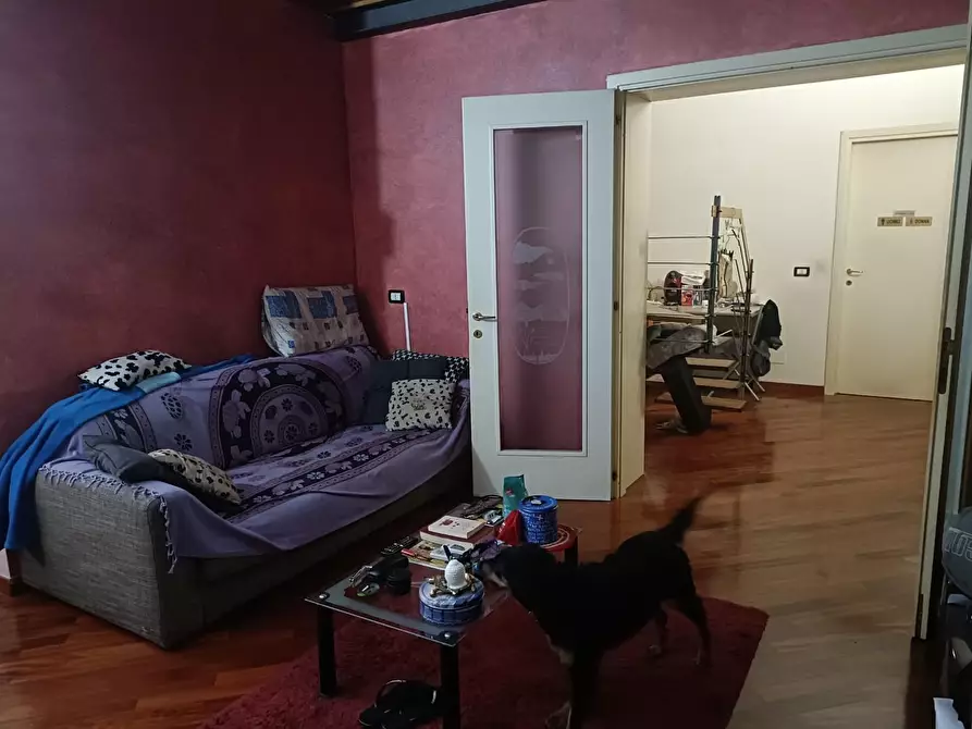 Immagine 18 di Appartamento in vendita  a Livorno