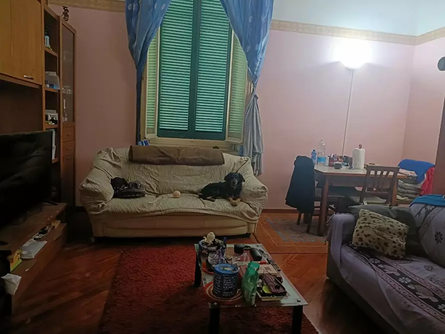 Immagine 15 di Appartamento in vendita  a Livorno