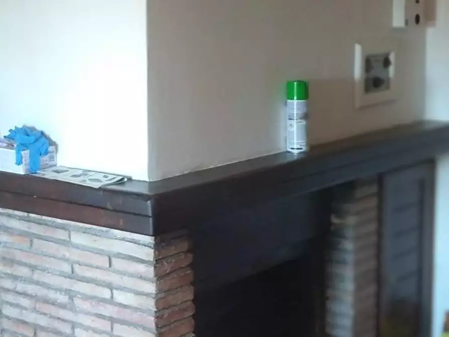 Immagine 4 di Appartamento in vendita  a Semproniano