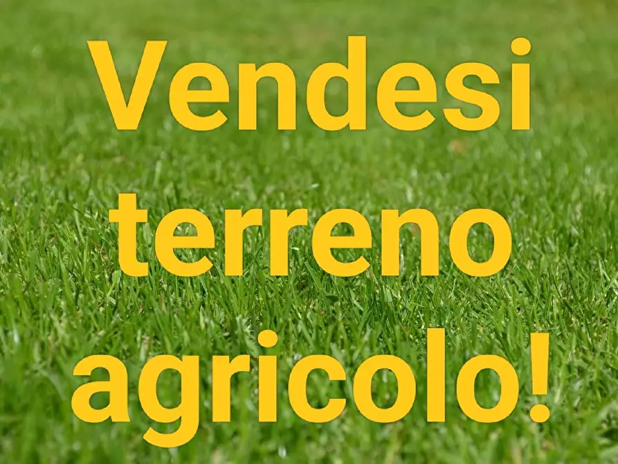 Immagine 2 di Terreno agricolo in vendita  a Sarzana