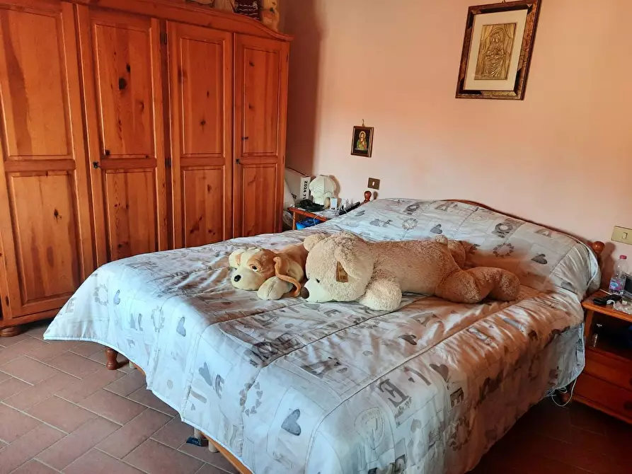 Immagine 19 di Appartamento in vendita  a Terricciola