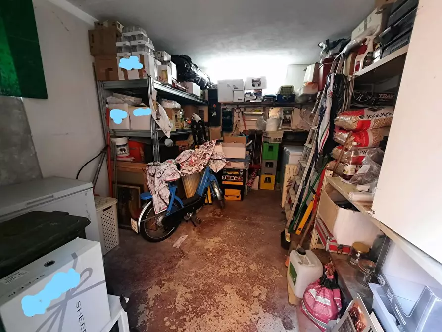 Immagine 37 di Appartamento in vendita  a Terricciola