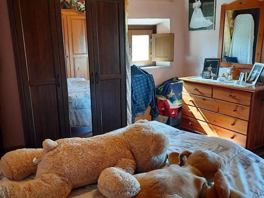 Immagine 21 di Appartamento in vendita  a Terricciola