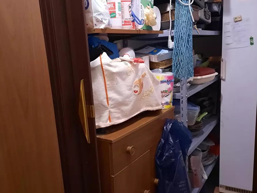 Immagine 32 di Appartamento in vendita  a Terricciola