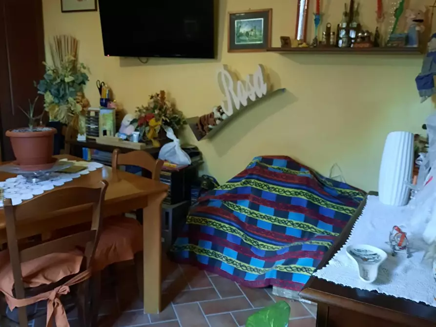 Immagine 25 di Appartamento in vendita  a Terricciola