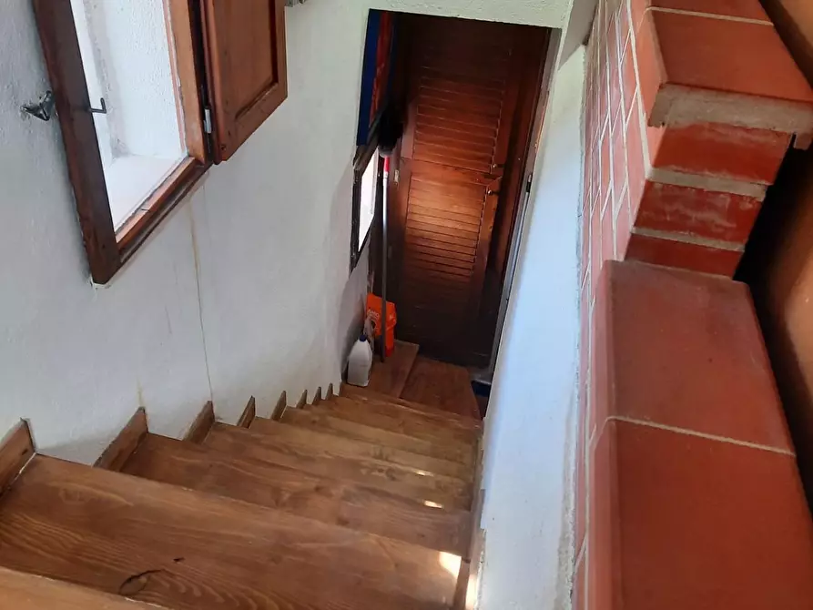 Immagine 8 di Appartamento in vendita  a Terricciola