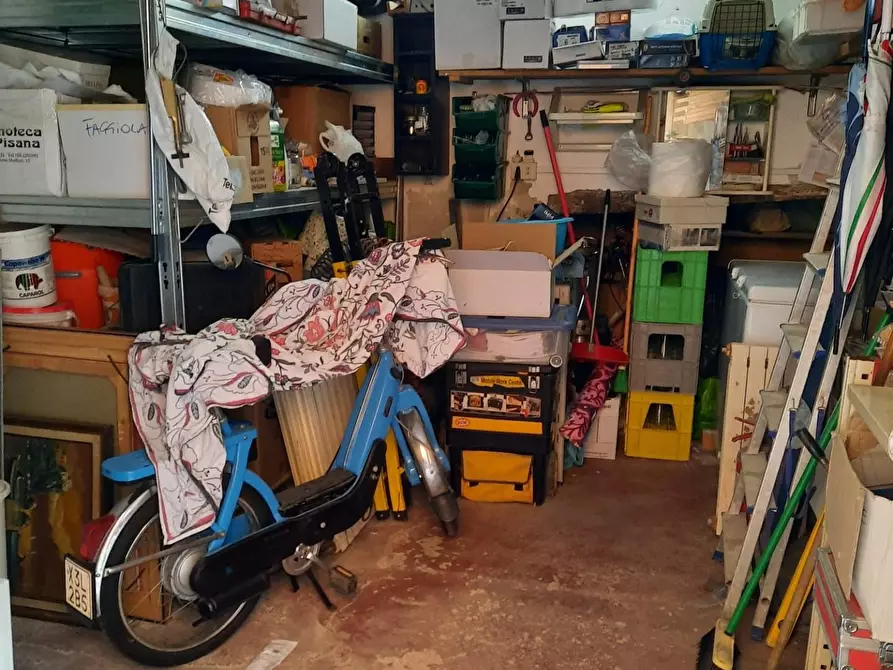 Immagine 35 di Appartamento in vendita  a Terricciola