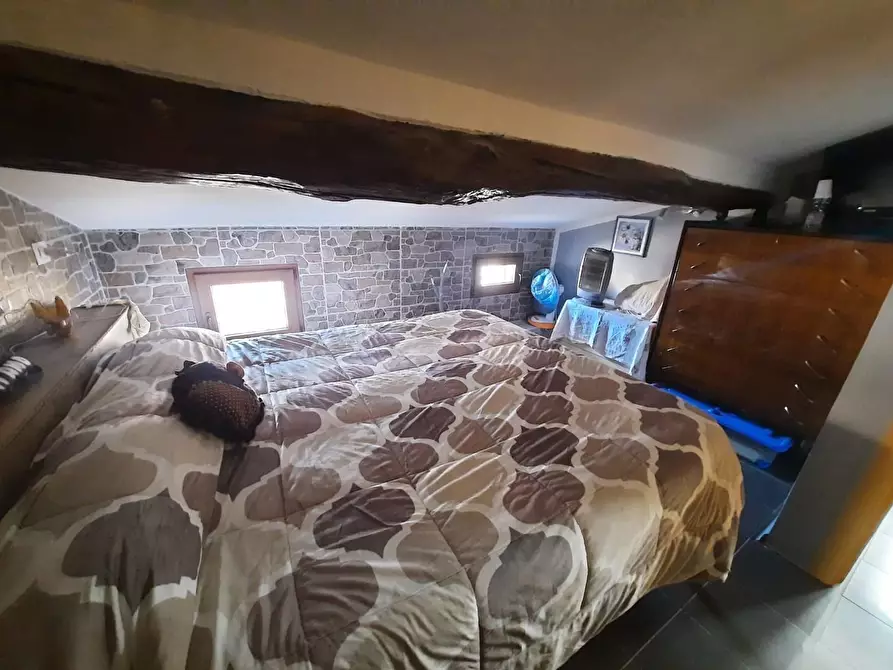 Immagine 14 di Appartamento in vendita  a Terricciola