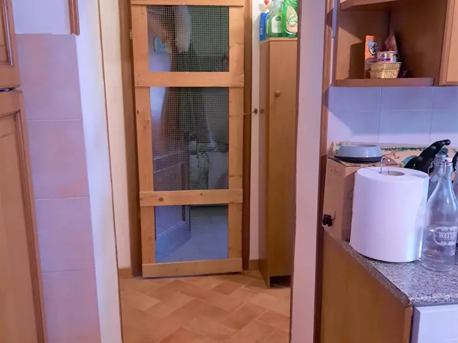 Immagine 30 di Appartamento in vendita  a Terricciola