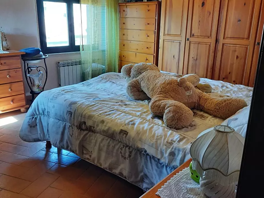 Immagine 20 di Appartamento in vendita  a Terricciola