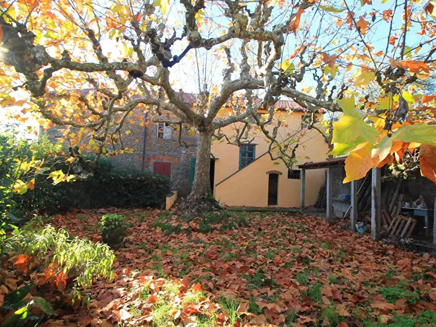 Immagine 27 di Casa colonica in vendita  a Larciano