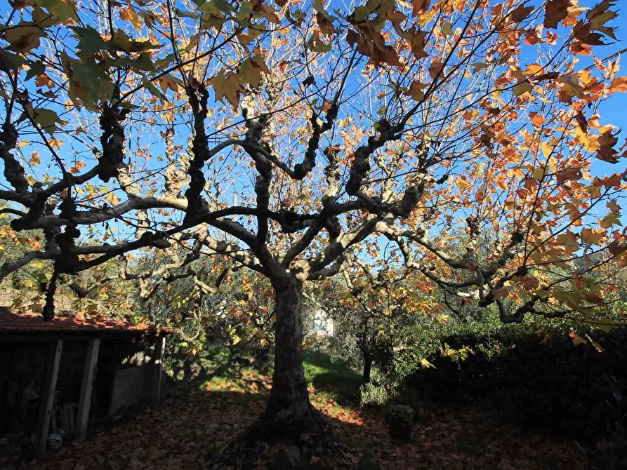 Immagine 30 di Casa colonica in vendita  a Larciano