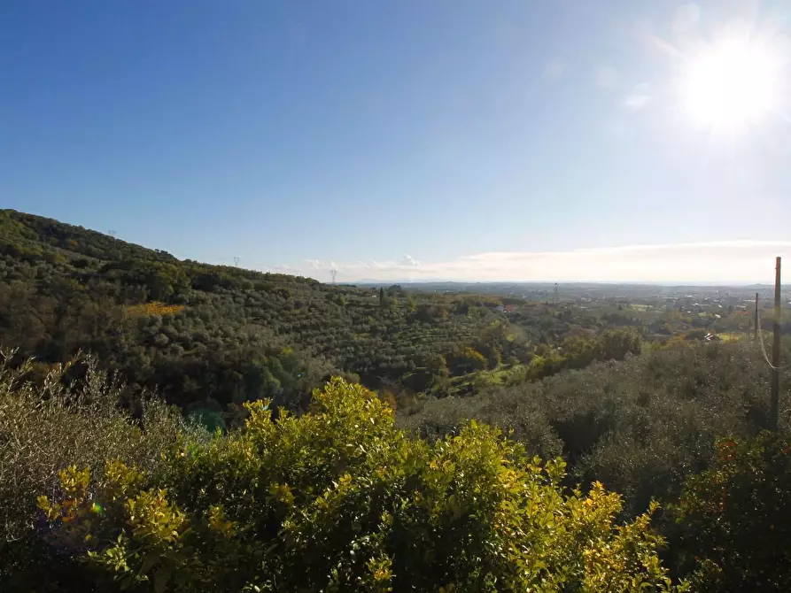 Immagine 22 di Casa colonica in vendita  a Larciano