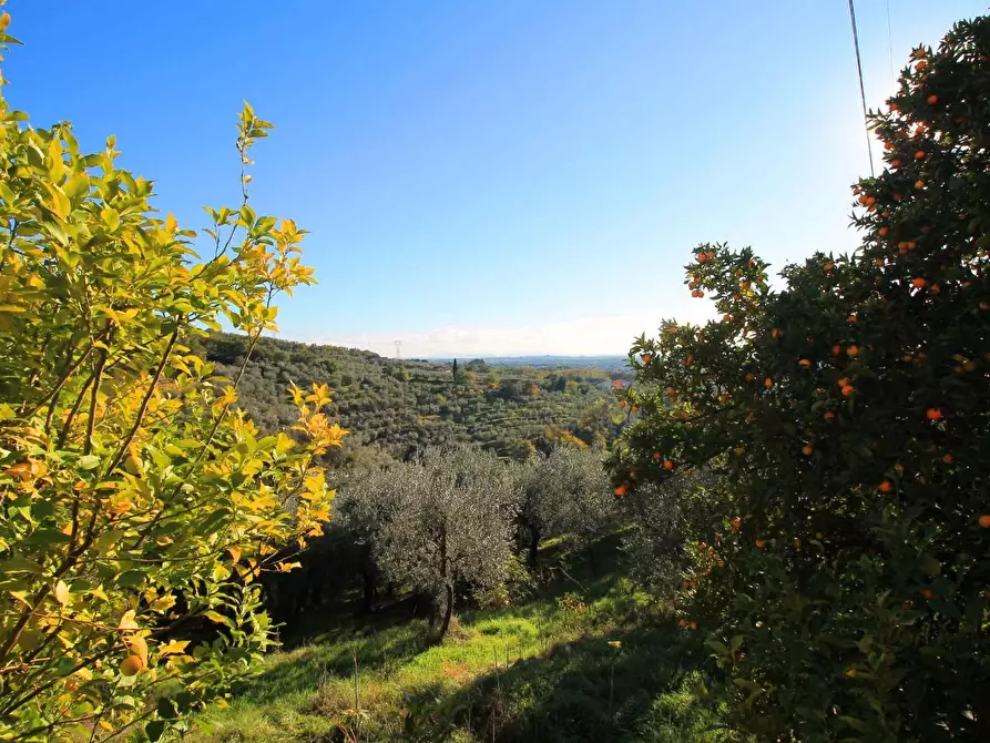 Immagine 26 di Casa colonica in vendita  a Larciano
