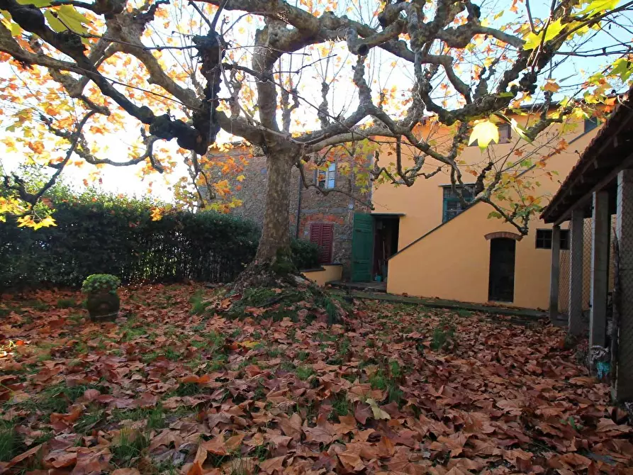 Immagine 28 di Casa colonica in vendita  a Larciano
