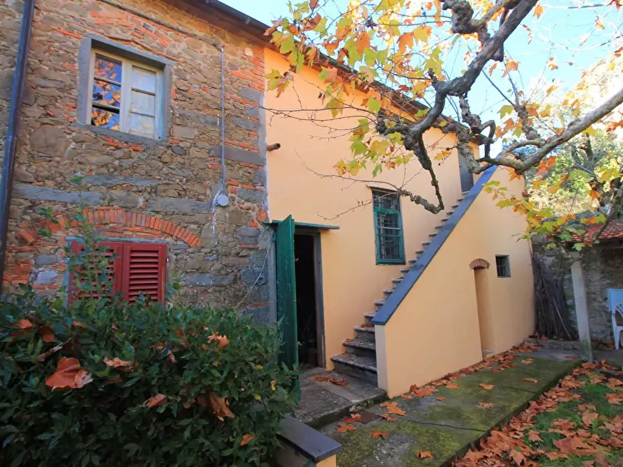 Immagine 29 di Casa colonica in vendita  a Larciano