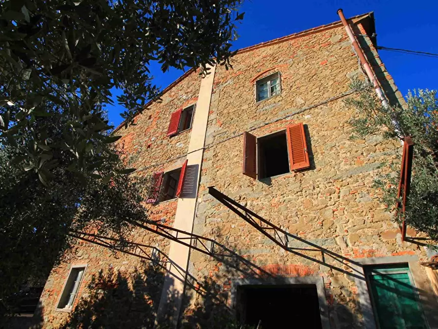 Immagine 31 di Casa colonica in vendita  a Larciano