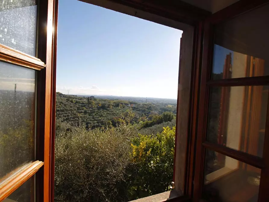 Immagine 12 di Casa colonica in vendita  a Larciano