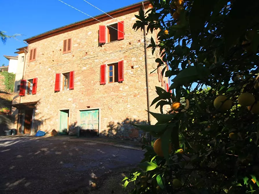 Immagine 24 di Casa colonica in vendita  a Larciano