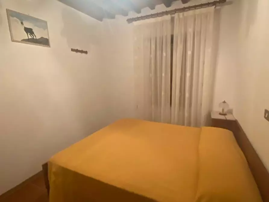 Immagine 17 di Rustico / casale in vendita  a Lucca