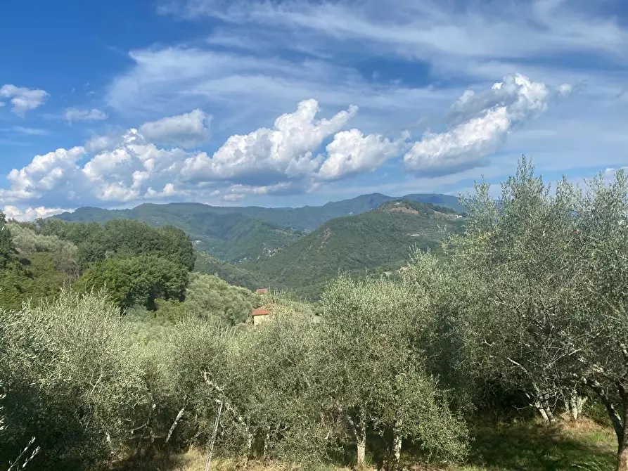 Immagine 11 di Rustico / casale in vendita  a Lucca