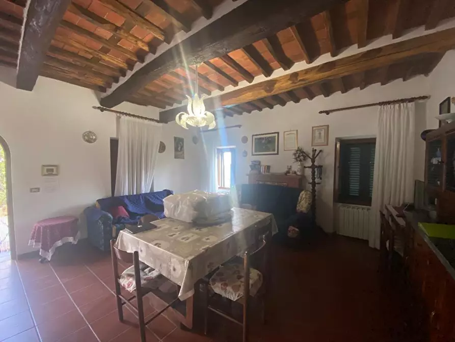 Immagine 15 di Rustico / casale in vendita  a Lucca