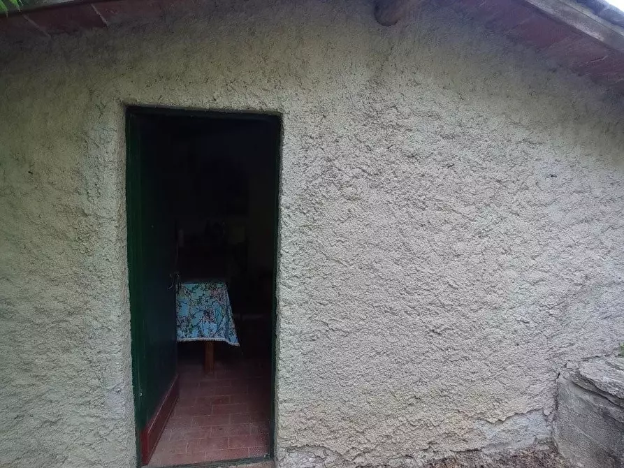 Immagine 2 di Terreno agricolo in vendita  a Capannori