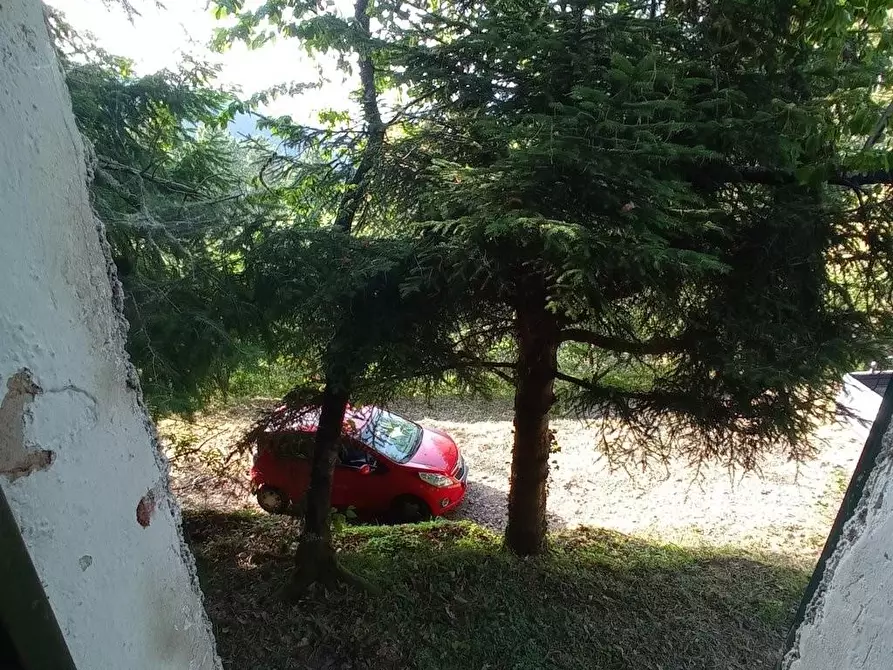 Immagine 3 di Terreno agricolo in vendita  a Capannori