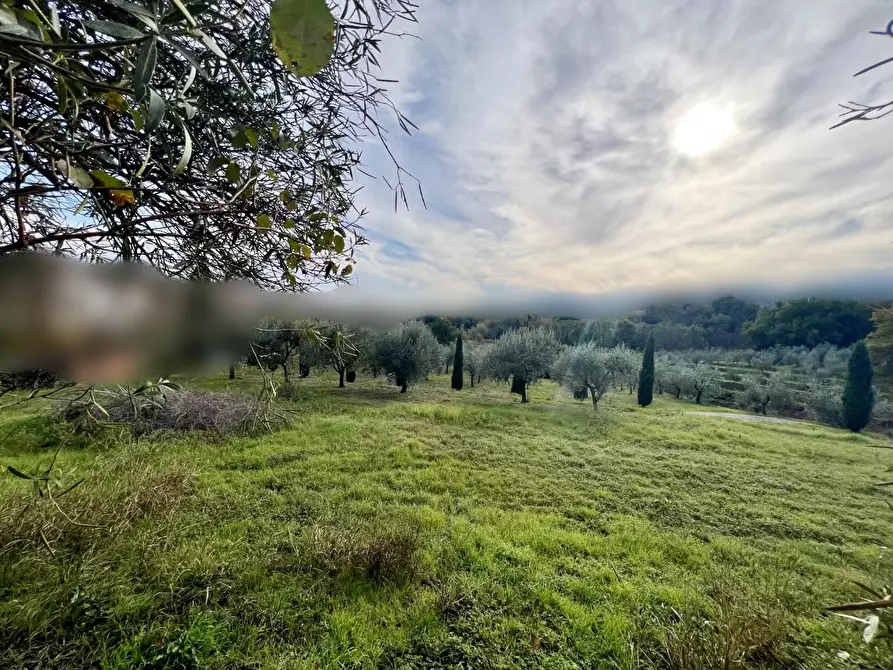 Immagine 8 di Rustico / casale in vendita  a Capannori