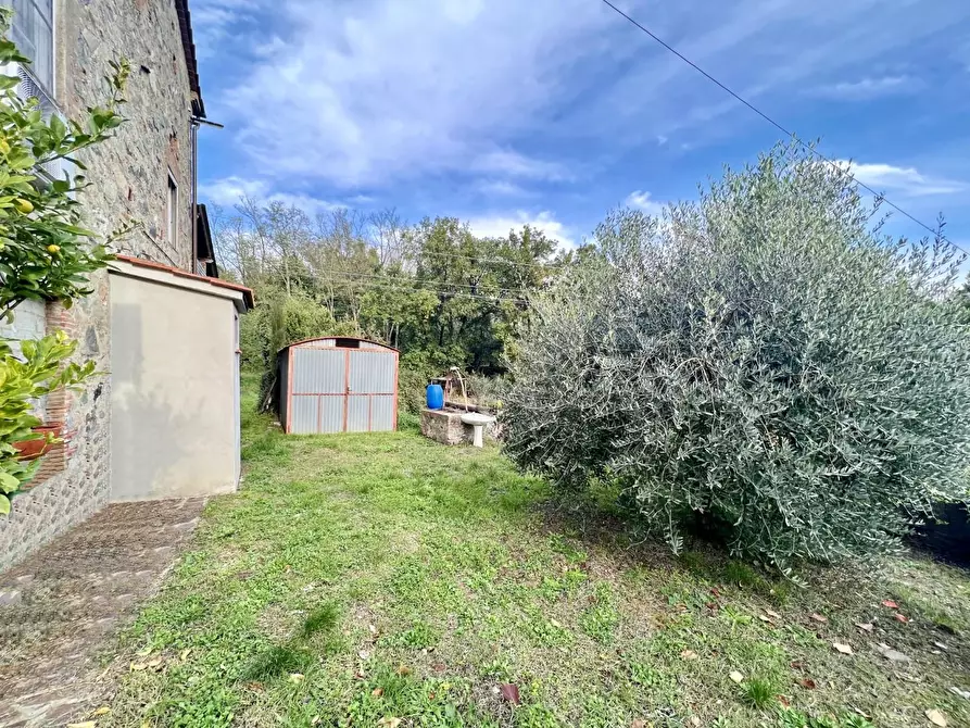 Immagine 6 di Rustico / casale in vendita  a Capannori