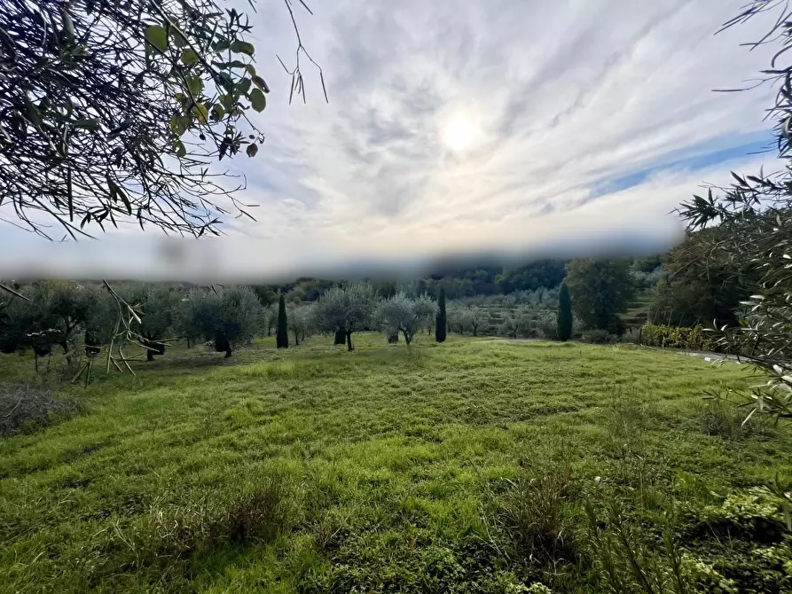 Immagine 9 di Rustico / casale in vendita  a Capannori