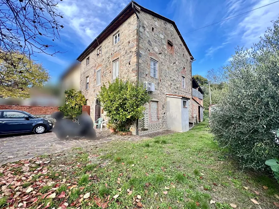 Immagine 5 di Rustico / casale in vendita  a Capannori