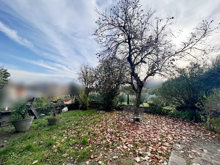 Immagine 4 di Rustico / casale in vendita  a Capannori