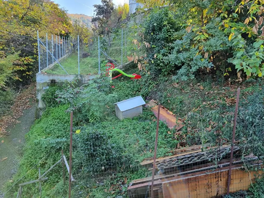 Immagine 13 di Appartamento in vendita  a Massa