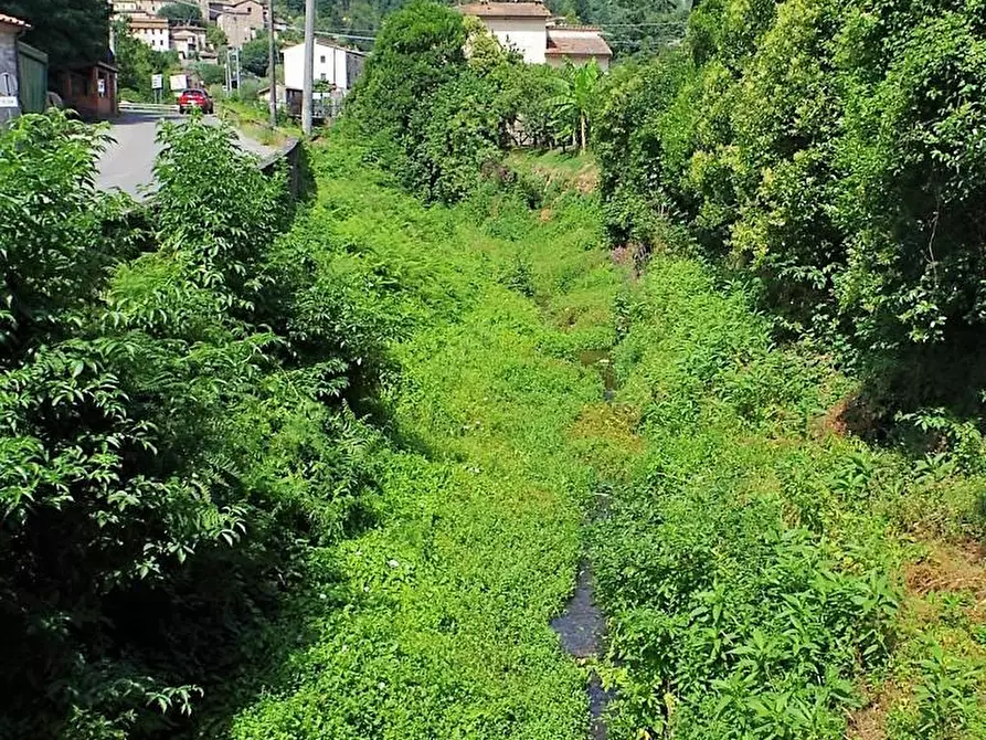 Immagine 27 di Appartamento in vendita  a Capannori