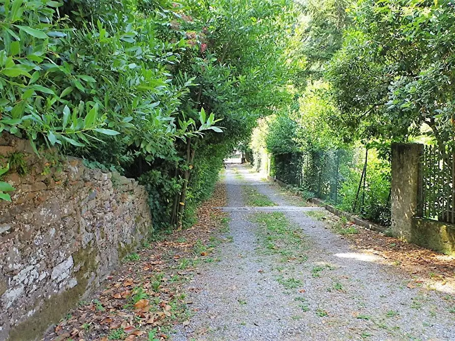 Immagine 29 di Appartamento in vendita  a Capannori