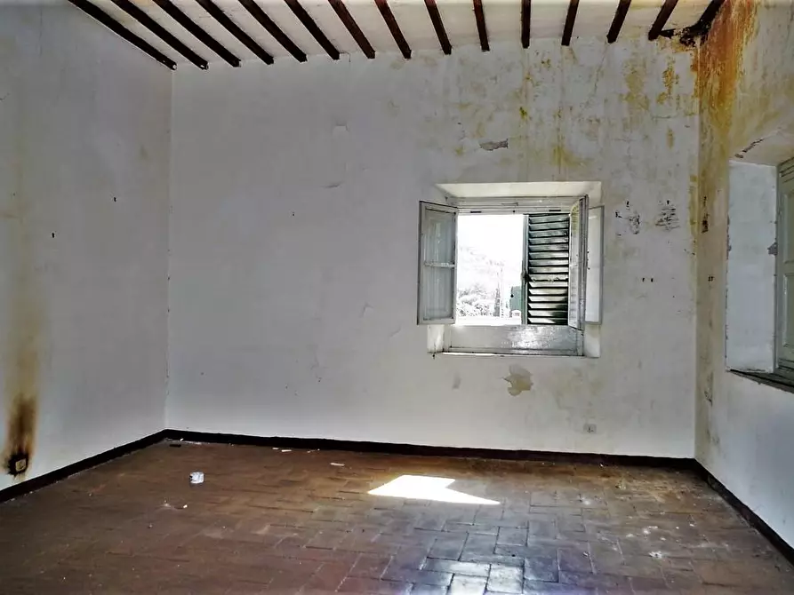 Immagine 11 di Appartamento in vendita  a Capannori