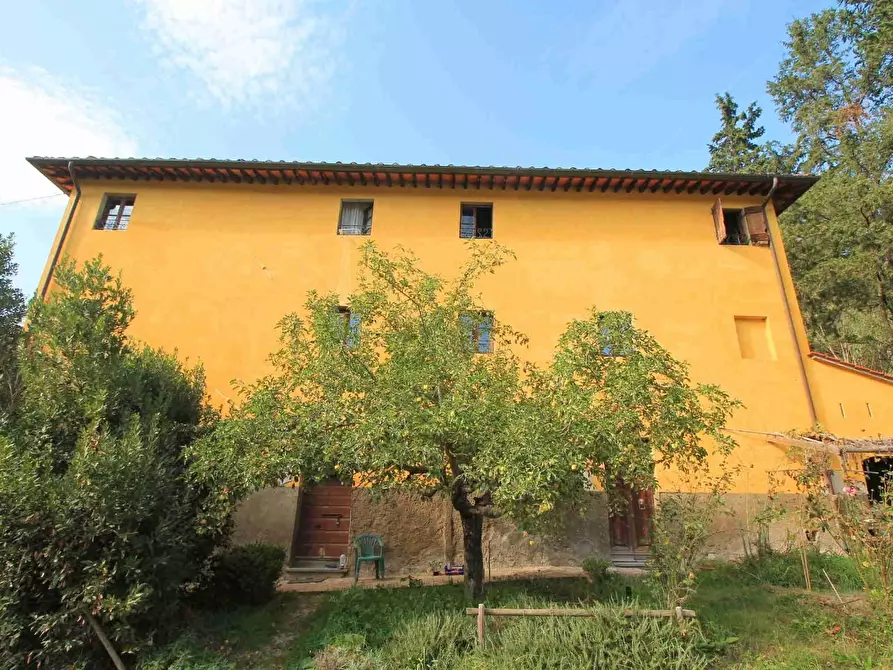 Immagine 4 di Casa colonica in vendita  a San Miniato