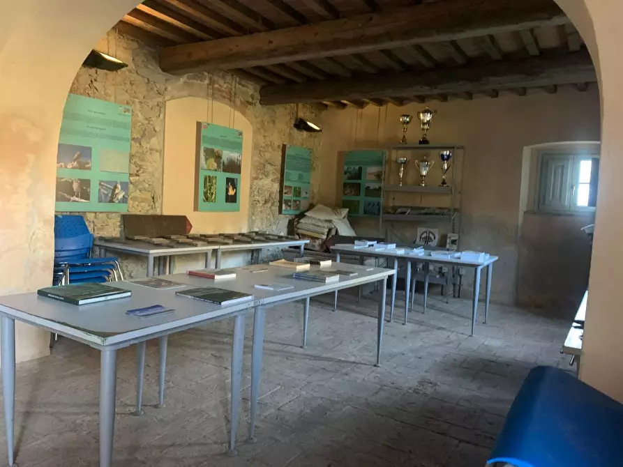 Immagine 6 di Rustico / casale in vendita  a San Giuliano Terme