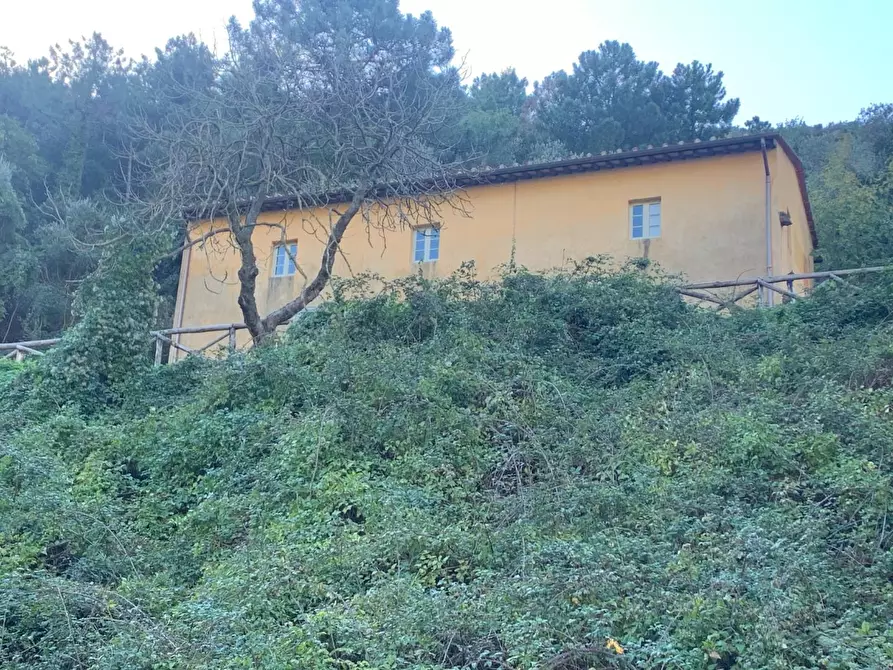 Immagine 1 di Rustico / casale in vendita  a San Giuliano Terme