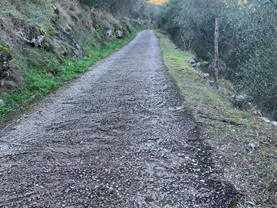Immagine 5 di Rustico / casale in vendita  a San Giuliano Terme