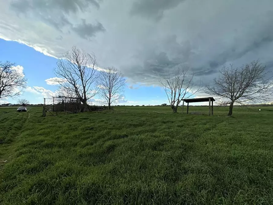 Immagine 1 di Terreno agricolo in vendita  a Pietrasanta