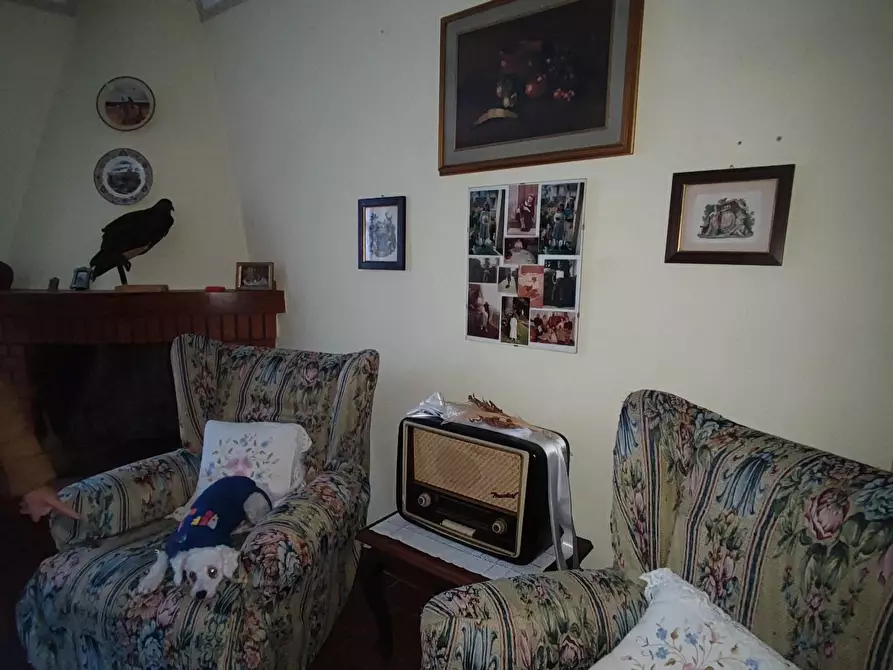 Immagine 8 di Terratetto in vendita  a Fivizzano