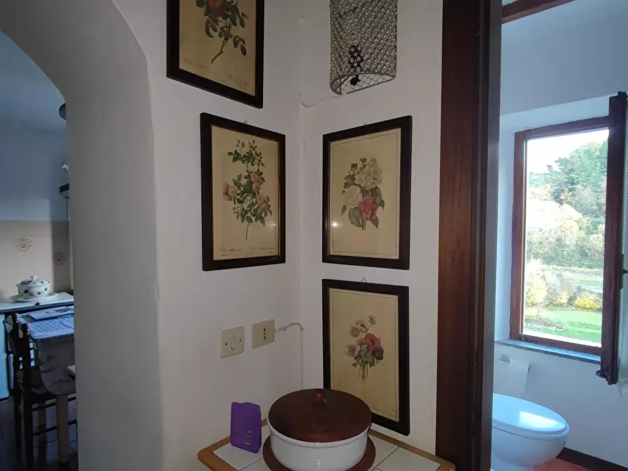 Immagine 5 di Terratetto in vendita  a Fivizzano