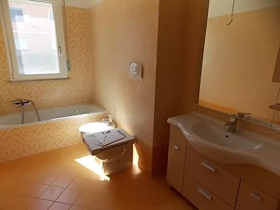 Immagine 14 di Appartamento in vendita  a Rosignano Marittimo