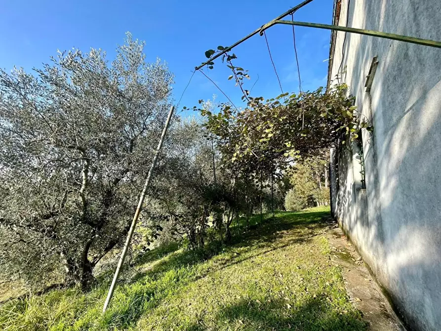 Immagine 34 di Villetta a schiera in vendita  a Capannori