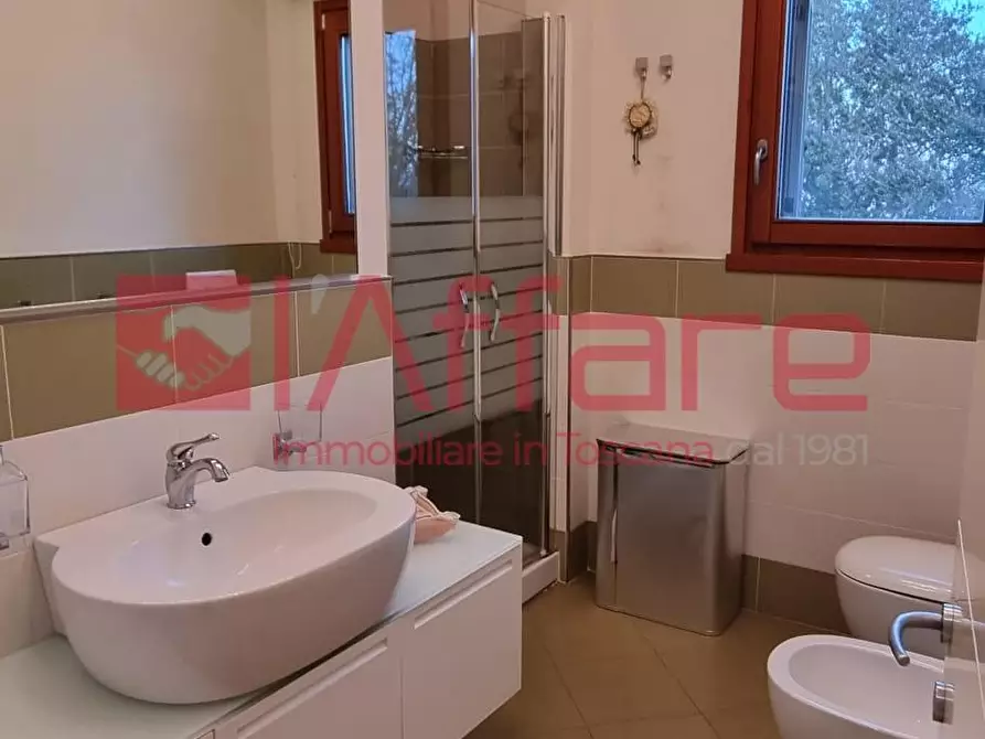 Immagine 23 di Appartamento in affitto  a Pontedera